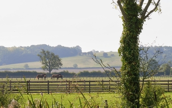 Results Released of the Largest and Most In-Depth Study into UK Public Attitudes Towards Horse Sport and Equine Welfare